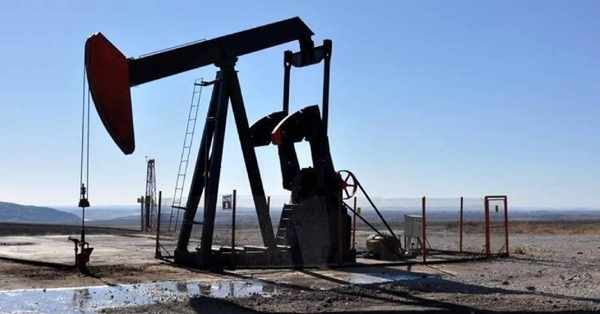 Putin Petrol Açıklaması
