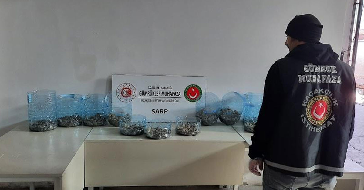 Sarp Sınır Kapısı