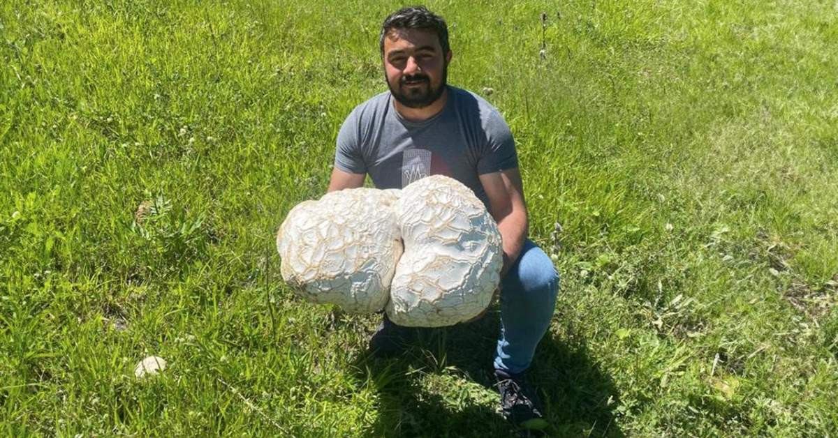 Sivas Dev Mantar