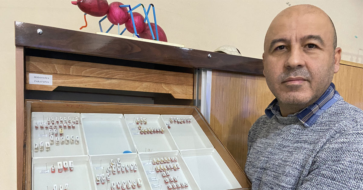 Sivas'da böcek keşfi Sivas'da böcek keşfi