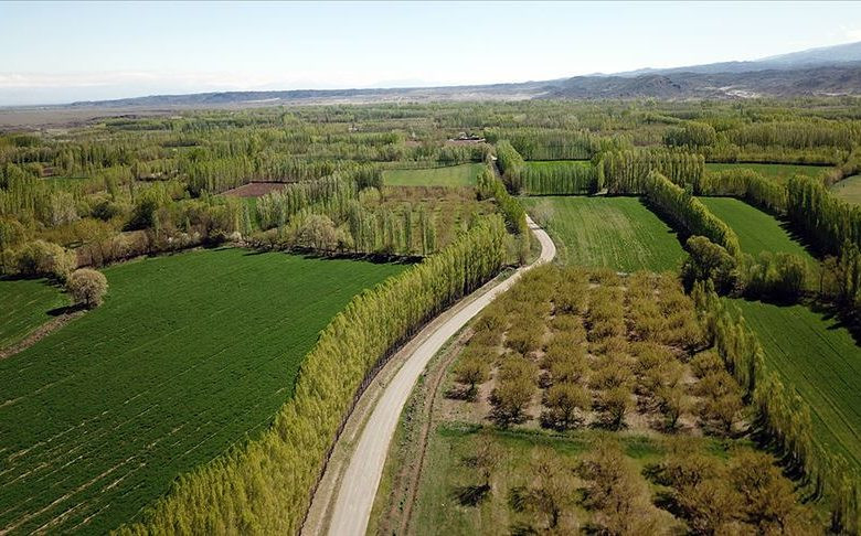 Son dakika müjdesiyle herkes tapu sahibi olacak! KDV’siz 4.000 TL’ye tapunuz hazır