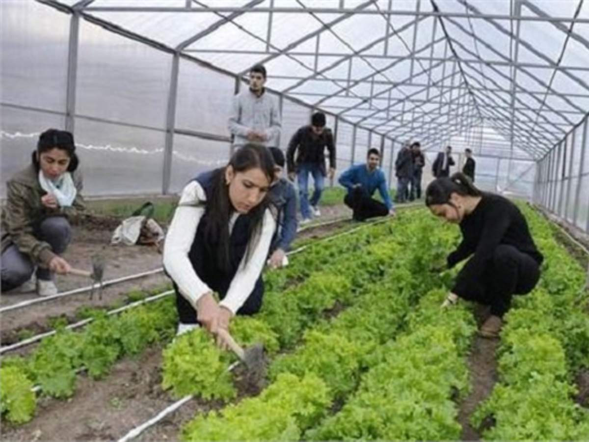 tarım okulları tarım okulları