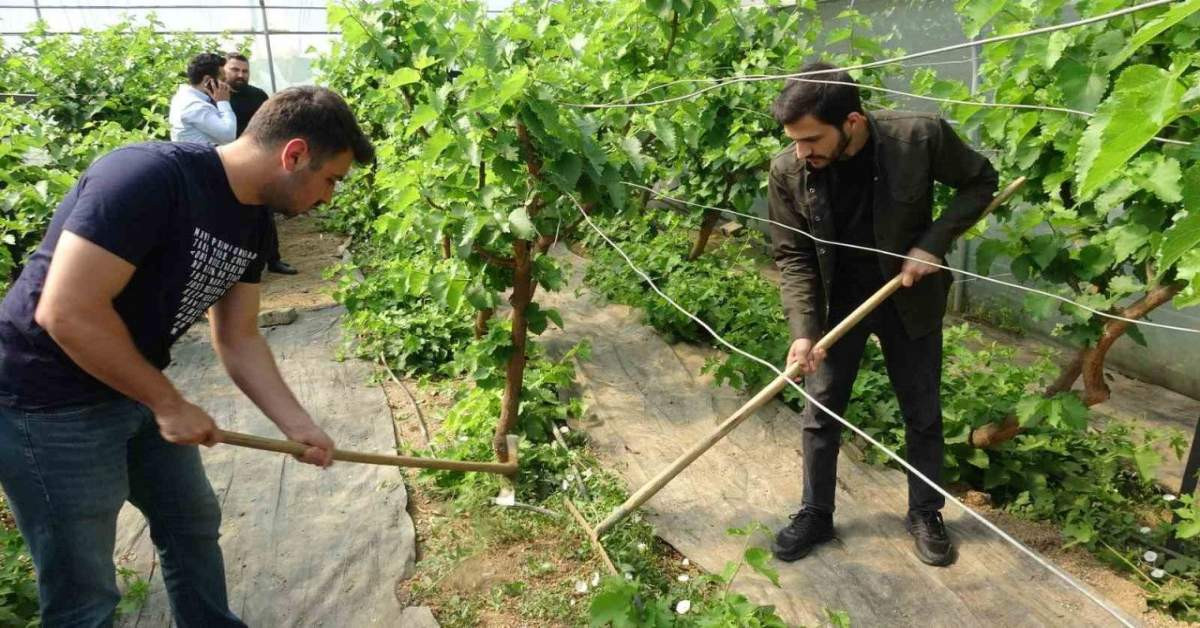 Tokat Gaziosmanpaşa Üniversitesi Daldırma Yöntemi Tokat Gaziosmanpaşa Üniversitesi Daldırma Yöntemi