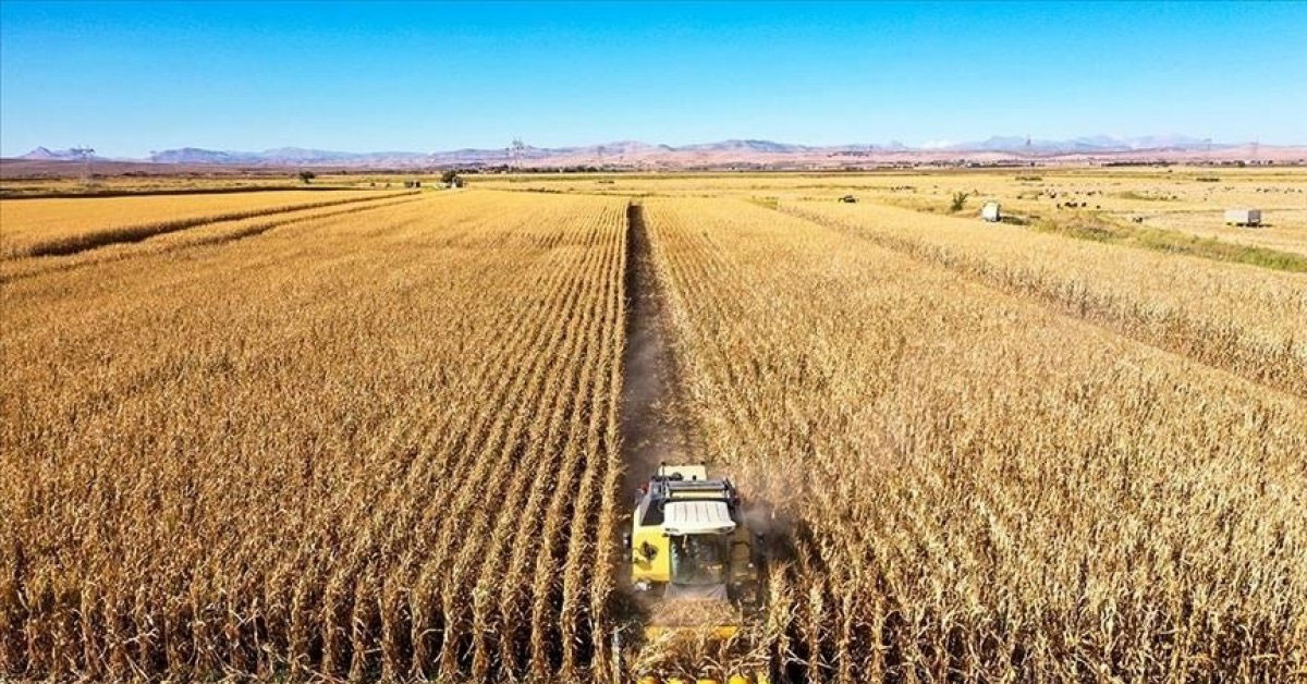 Ülkemizde 2 milyondan fazla üretici bulunuyor: Sıralamada Ordu, Konya'yı geride bıraktı!