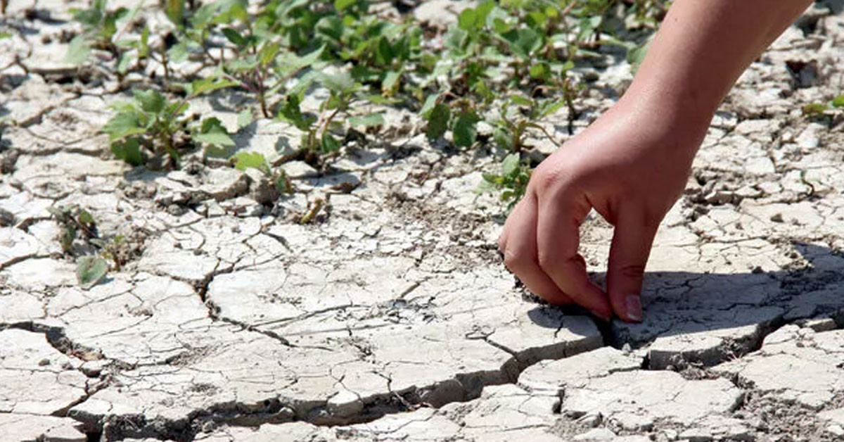 Uzman isimden uyarı geldi: Barajlardaki doluluğa inanmayın, kurak bir yaz geliyor! Uzman isimden uyarı geldi: Barajlardaki doluluğa inanmayın, kurak bir yaz geliyor!