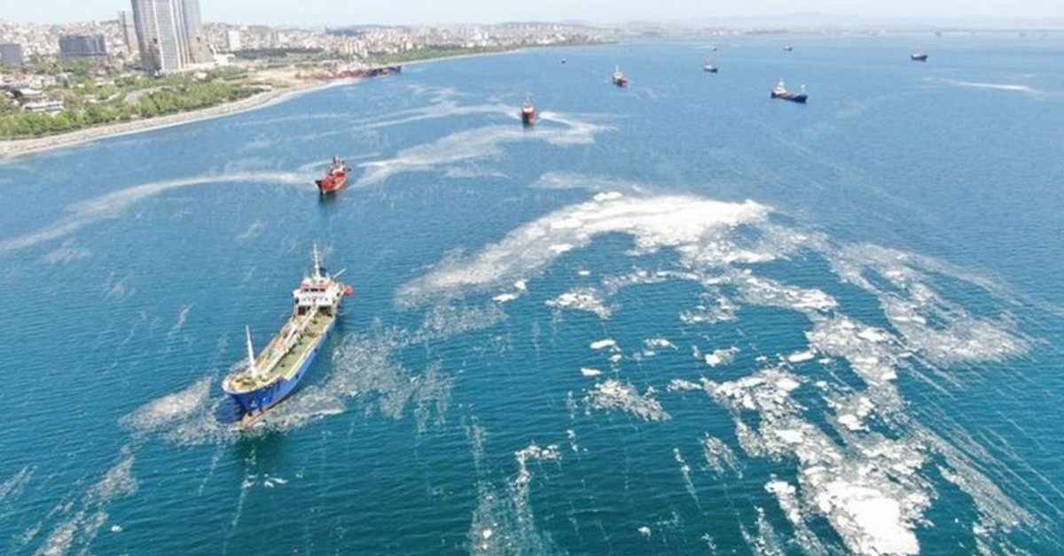 Bilim-2 Gemisi Marmara'da Gezilmedik Yer Bırakmadı! İşte İstanbul Boğaz'daki En Pis 5 Bölgehjgjhg Bilim-2 Gemisi Marmara'da Gezilmedik Yer Bırakmadı! İşte İstanbul Boğaz'daki En Pis 5 Bölgehjgjhg