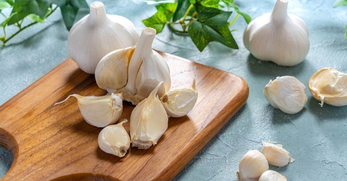 Vitamin deposu sarımsak Vitamin deposu sarımsak
