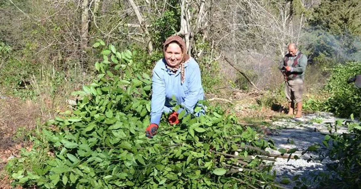 Sinanhoca Mahallesi’ndeki köylüler