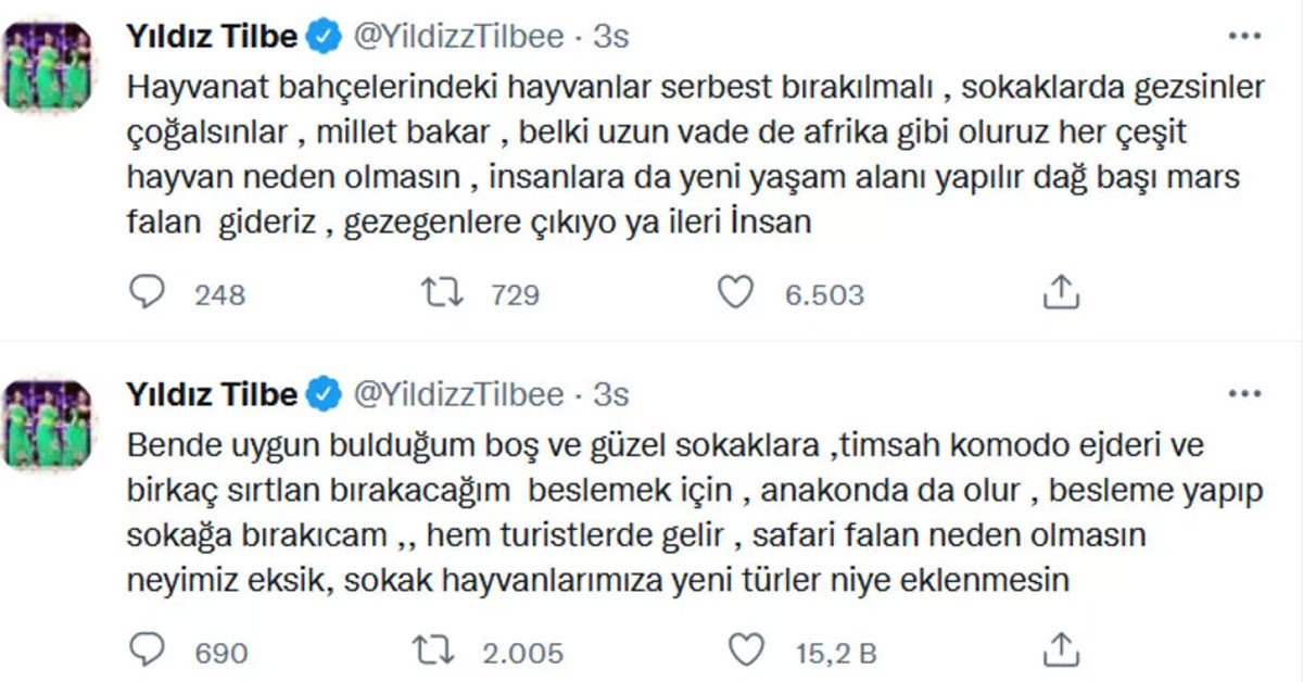 Yıldız Tilbe sokak hayvanları paylaşımı