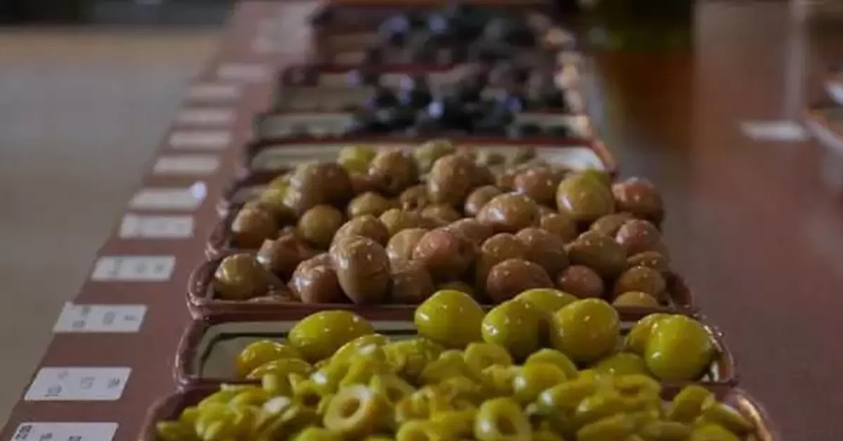 zeytin zeytin