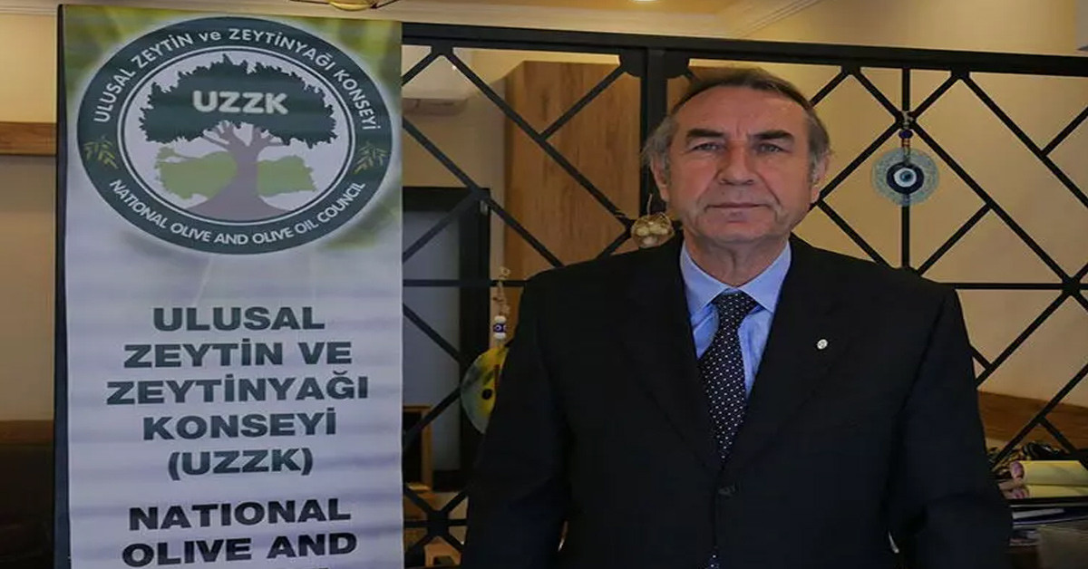 zeytin zeytin