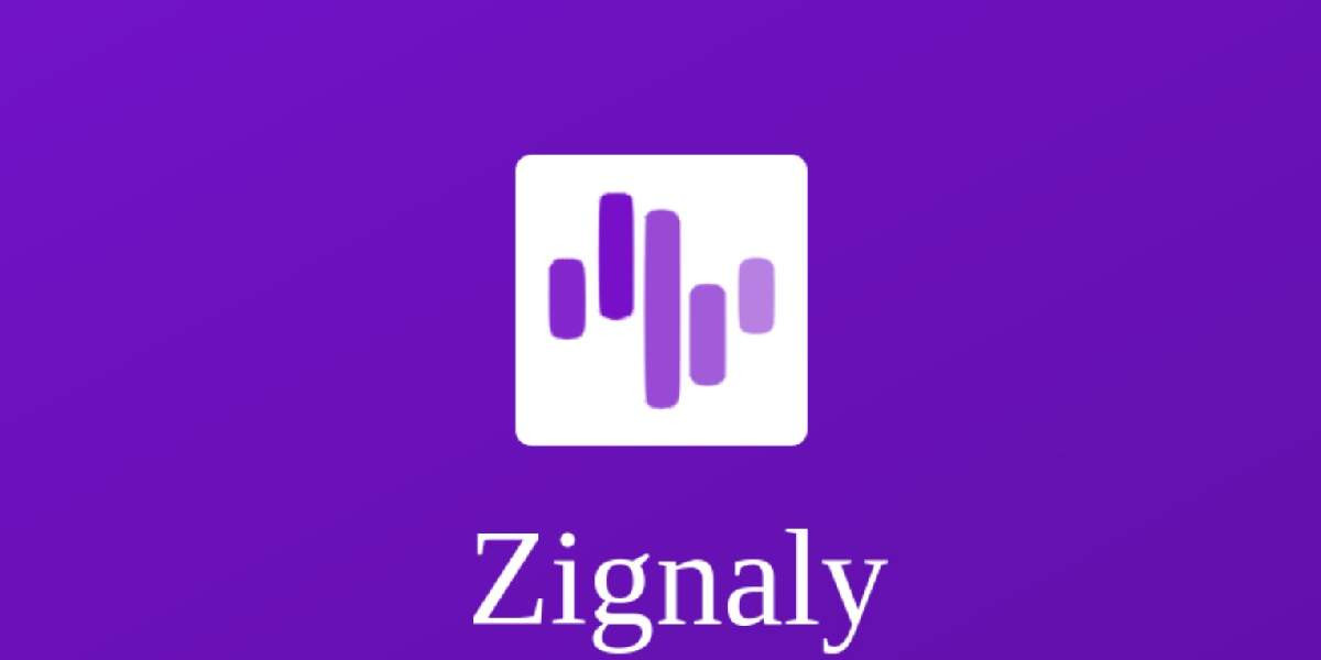 Ziz coin nedir