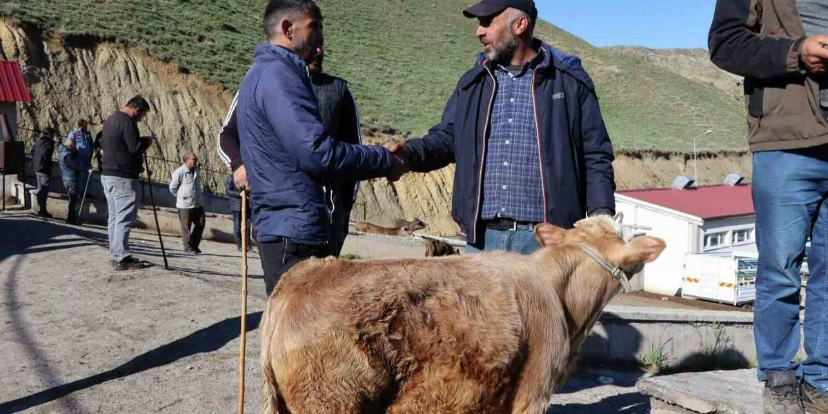 2022 Balıkesir Kurbanlık Fiyatları