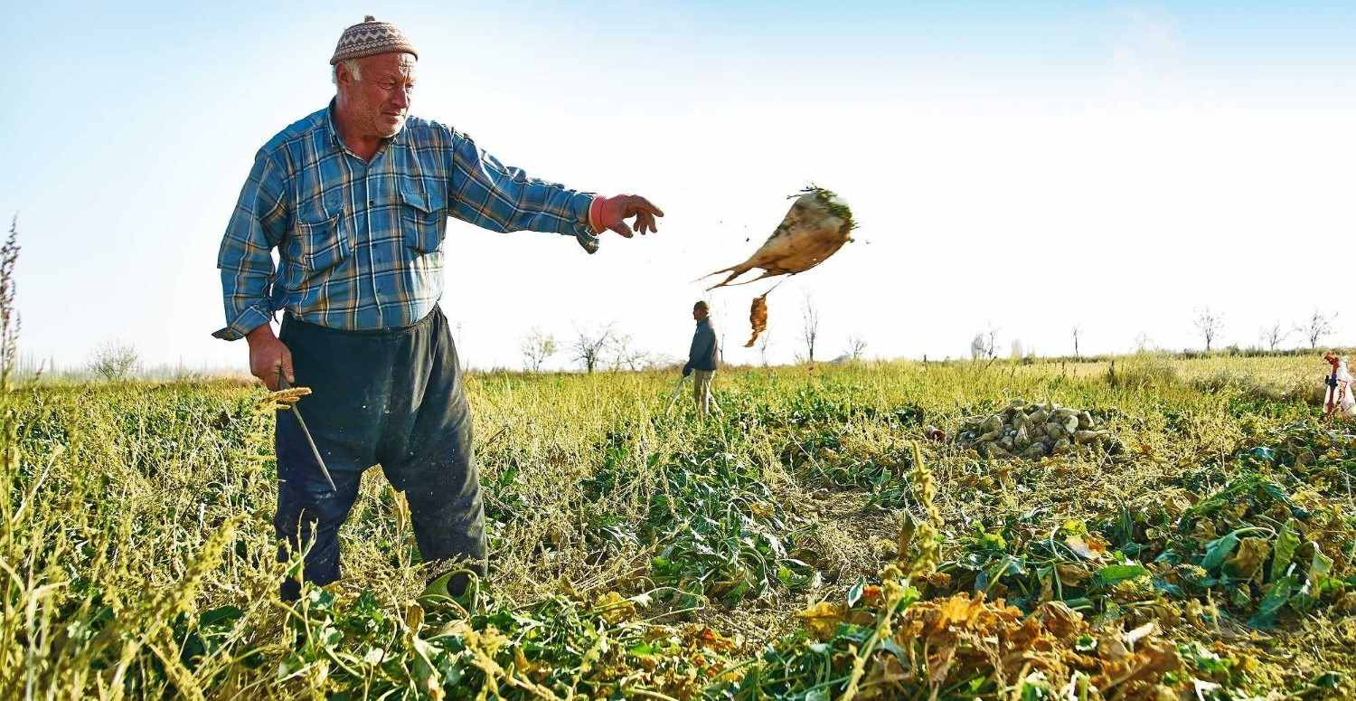 2022 tarımsal destek ödemeleri başladı mı