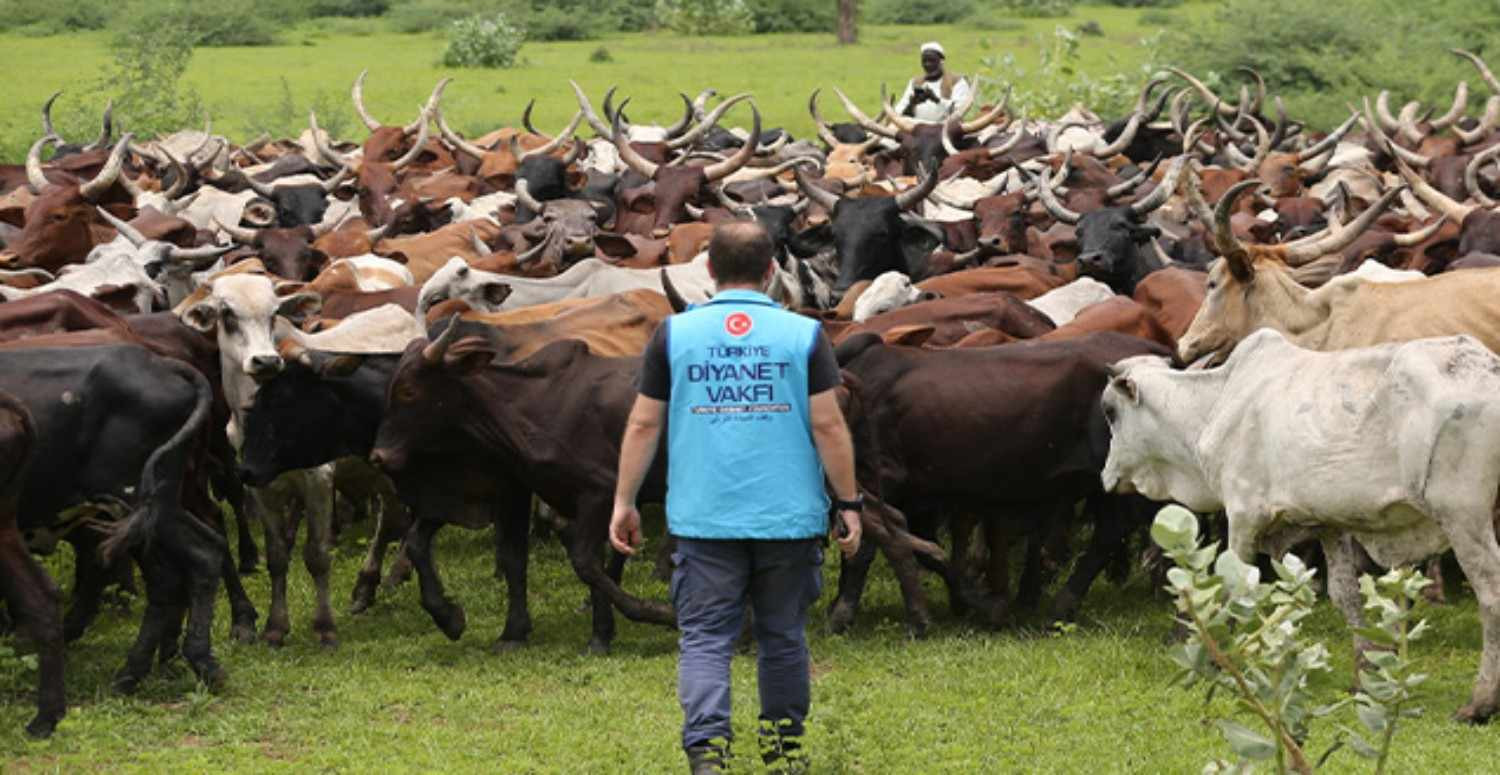 2022 Yılı Kurban Fiyatları Ne Kadar