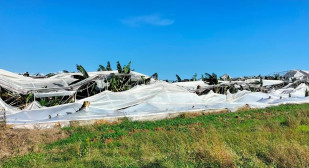 Antalya'da Hortum Tarımsal Hasara Neden Oldu
