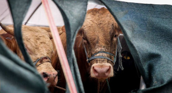 13-14 Temmuz tatil olacak mı, Kurban Bayramı tatili kaç gün olacak?