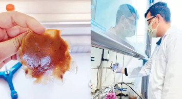 19 yaşındaki Türk gençten gururlandıran çalışma: Ispanaktan geri dönüşümlü plastik üretti