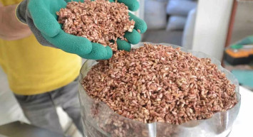 20 gramı 40 liradan satılıyor: İşte anti-kanser mucizesi olan yağ