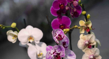 2022 Anneler Günü ne zaman, ayın kaçında? 2022 Anneler Günü tarihi ve tarihçesi