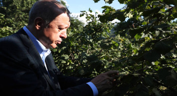 2022 fındık kg fiyatı ne kadar, kaç TL? Cumhurbaşkanı Erdoğan 2022 yılı fındık fiyatını açıkladı