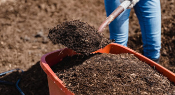 2022 gübre desteği ne zaman ödenecek? 2022 gübre desteği ödeme tarihleri