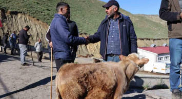 2022 kurbanlık fiyatları: İstanbul, Ankara İzmir büyük baş ve küçük baş kurbanlık hayvan fiyatları