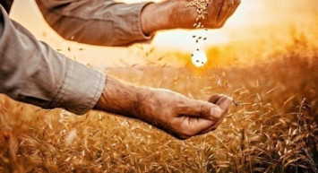 2022 tarımsal destek ödemeleri başladı mı, ödemeler ne zaman yapılacak?