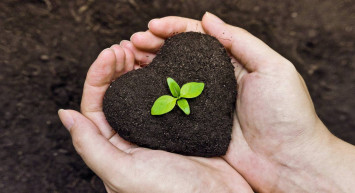 2023 gübre desteği ne zaman ödenecek? Gübre desteği ne kadar, nasıl alınır?