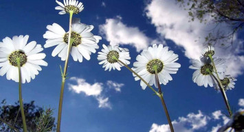 2023 ikinci cemre düştü mü, ne zaman düşecek? Cemre düşmesi ne anlama gelir?