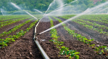 2024 Tarım Bakanlığı işçi alımı kura çekimi ne zaman? Tarım ve Orman Bakanlığı işçi alımı kura çekimi sonuçları ne zaman açıklanacak?