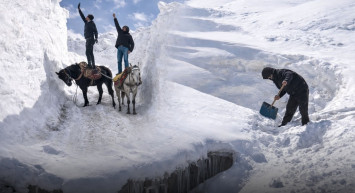 3-4 Metrelik Karla Yaşam Mücadelesi
