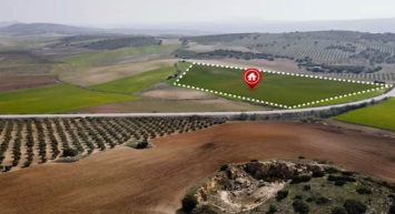 30 arsa %20 indirimli satışa çıkarıldı! Nisan 2024 kampanyasını neşe saçıyor