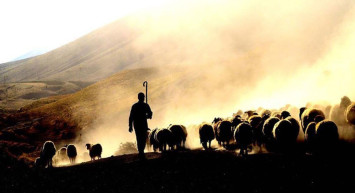 30 Gün Sürecek Zorlu Süreç Başladı! Göçerler Dönüş Yolunda