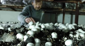 400 metrekarelik alanda 3 milyon kazanç elde ediyor