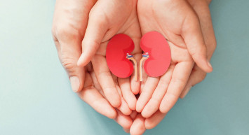 48 hastaya organ nakli yapılarak hayata tutunmaları sağlandı!