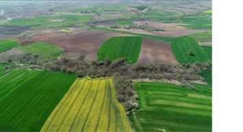 55 kelepir arsanın satışı için start verildi! Bedava arsa satılacak