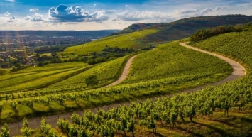 826 arsa satışa çıkıyor! Türkiye'nin dört bir yanında yatırım fırsatları kapıda