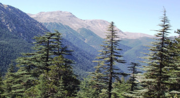 9 il için kritik karar: Kamulaştırma adımları Resmi Gazete’de yayımlandı