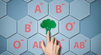 A RH Kan grubu nasıl beslenmeli? A RH Kan grubunun yemesi gerekenler