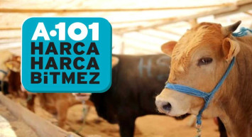 A101 Büyükbaş ve küçükbaş kurbanlık ne kadar? A101'de taksitle kurbanlık satılıyor mu?