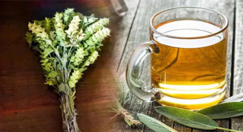 Ada çayının faydaları nelerdir, hangi hastalıklara iyi gelir? Ada çayının mucizevi etkileri