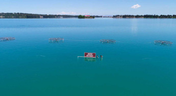 Adana'da Seyhan Baraj Gölü'nde su seviyesi yükseldi: Kafeler sular altında kaldı
