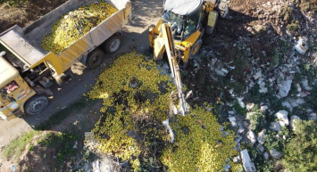 Adana'da tonlarca limon dere yatağına döküldü: Ekipler harekete geçti