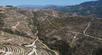 Adana'da Yanan Ormanlık Alanın Son Hali Havadan Görüntülendi