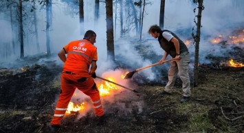 AFAD’dan orman yangınlarına ilişkin açıklama: İzmir ve Aydın’daki 10 mahalle afet bölgesi ilan edildi