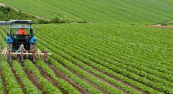 Afyonkarahisar İl Özel İdaresi'nden susuz tarım adımı! 'Kuru Tarım Arazilerinde Gelir Getirici Ürün Yetiştiriciliği' Projesiyle birçok arazi tarıma kazandırılacak