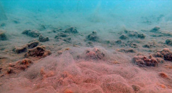 AK Parti Genel Başkanvekili Binali Yıldırım Karadeniz'deki Asıl Hazineyi Açıkladı!