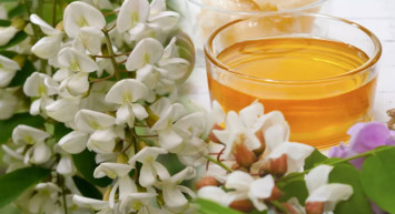 Bu faydasını çok az insan biliyor: Düzenli akasya çayı içerseniz bu dertten tamamen kurtulabilirsiniz 