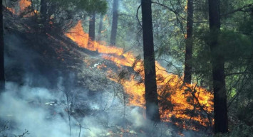 Alanya’da yangın paniği: Ekipler erken davranınca kontrol altına alındı